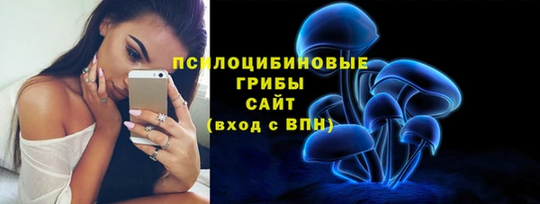 прущая мука Алзамай