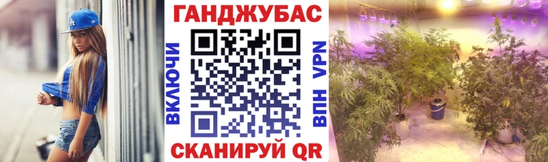это Telegram  Тимашёвск  Бошки марихуана конопля  закладки 